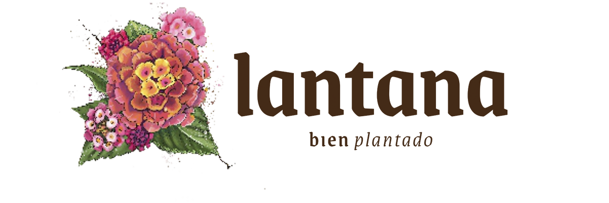 Timbó. Bien plantado.